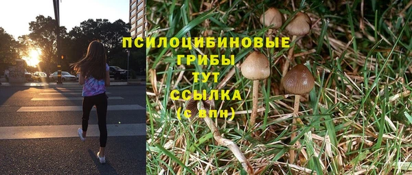 дживик Покровск