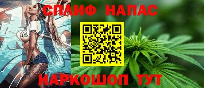 СК Обь