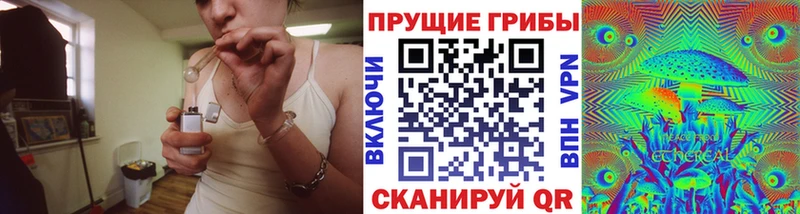 Галлюциногенные грибы прущие грибы  Уфа 