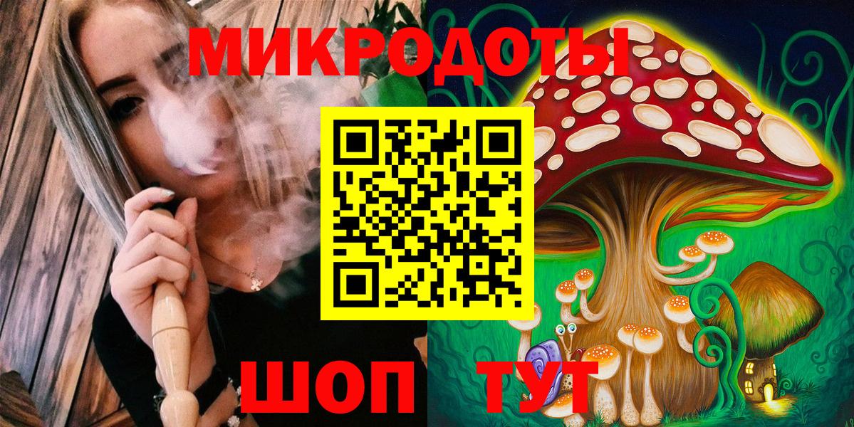 Псилоцибиновые грибы Psilocybe Уфа